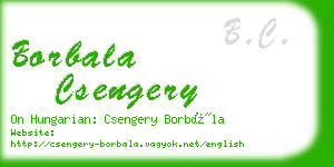 borbala csengery business card